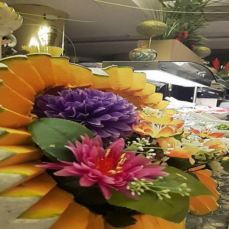 Kozaklı Sanitas Thermal Hotel