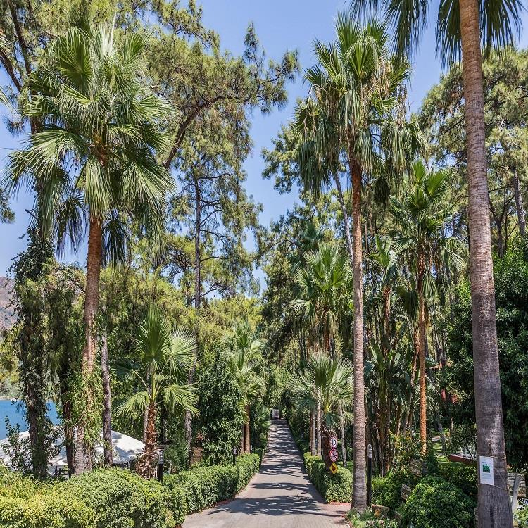 Marmaris Bay Resort By Mp Hotels (+16)