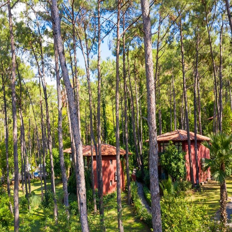 Marmaris Bay Resort By Mp Hotels (+16)