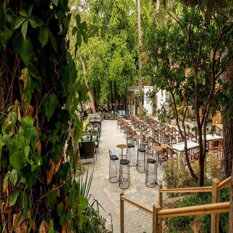 Marmaris Bay Resort By Mp Hotels (+16)