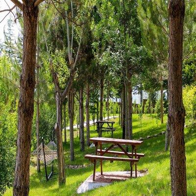 Sandıklı Thermal Park Resort Spa & Convention Center