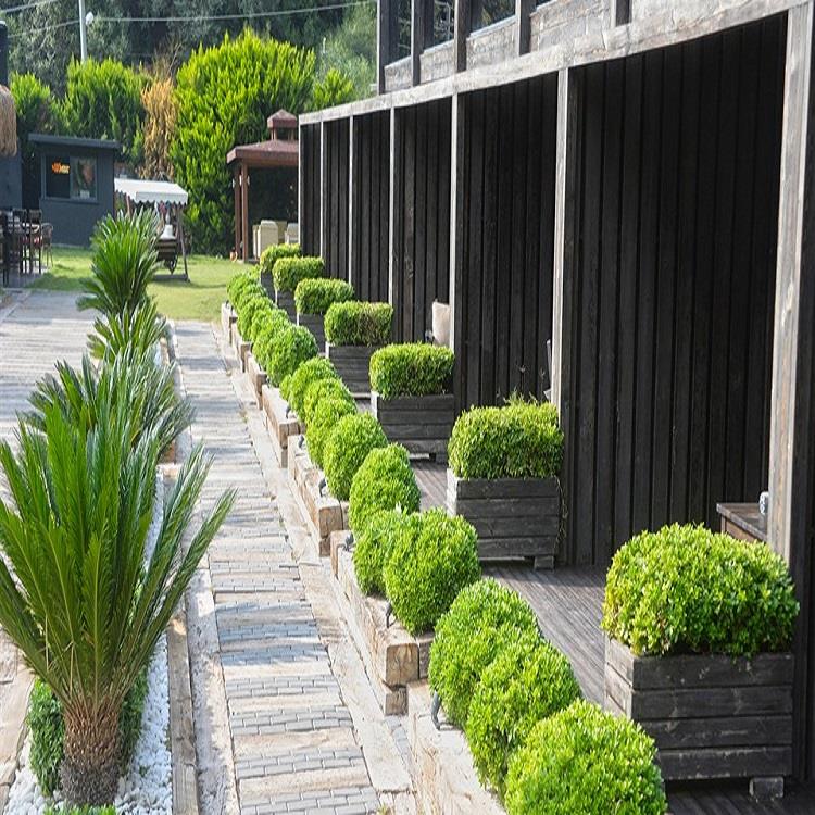 Manaspark Deluxe Hotel