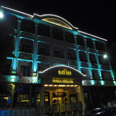 Black Bird Yalova Thermal Hotel & Spa