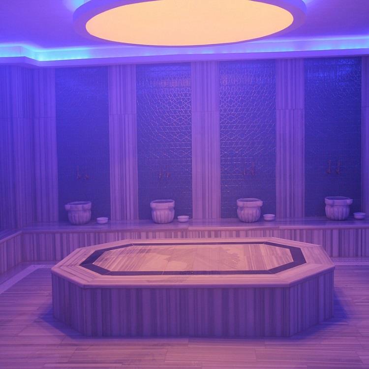 Kozaklı Sanitas Thermal Hotel